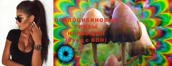 дживик Баксан