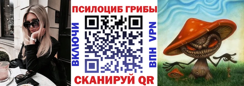 Купить закладки  Темников  Галлюциногенные грибы GOLDEN TEACHER 